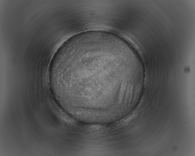 X0000091210883200708231605