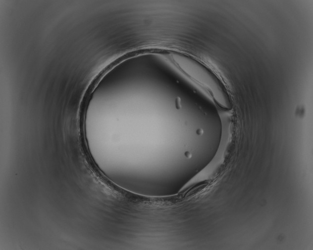 X0000091210884200708231605
