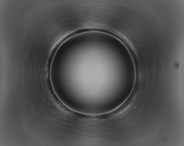 X0000091210885200708231605
