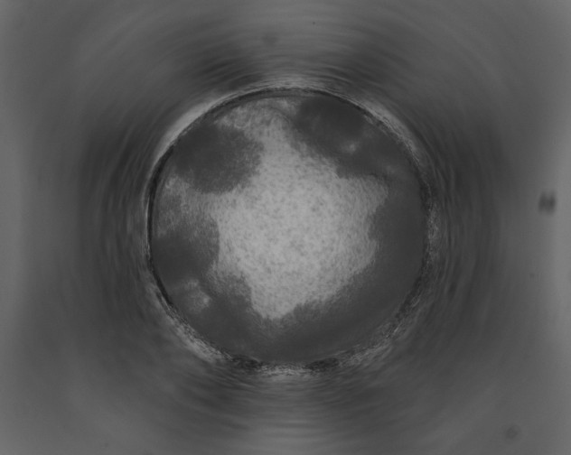 X0000091210886200708231605
