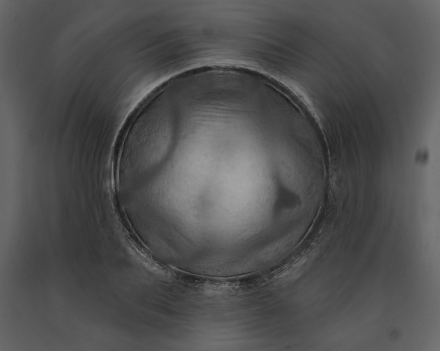 X0000091210887200708231605