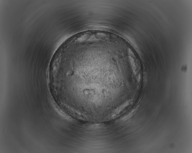 X0000091210891200708231605