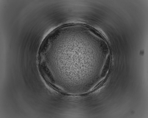 X0000091210893200708231605