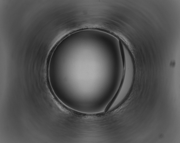 X0000091210894200708231605