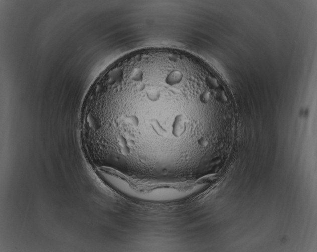 X0000091210895200708231605