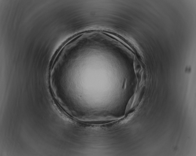 X0000091210896200708231604