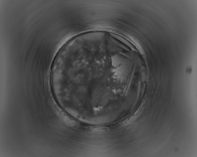 X0000091210899200708231604