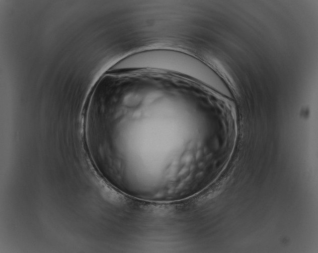 X0000091210900200708231604