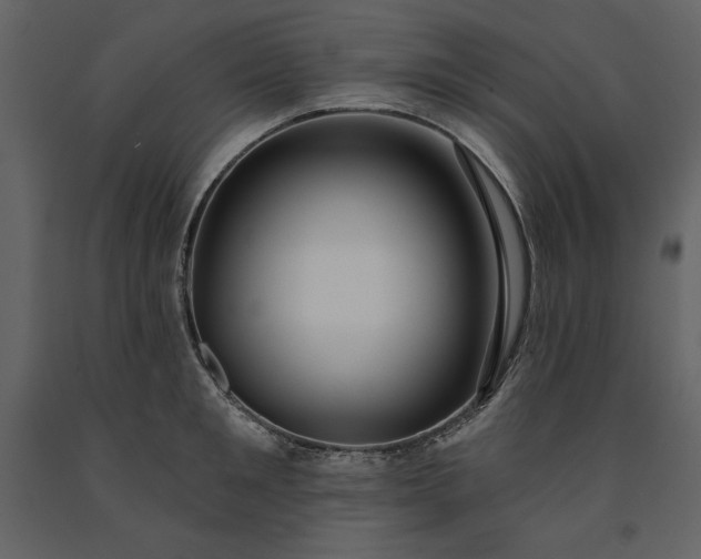 X0000091210901200708231604
