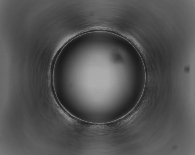 X0000091210902200708231604