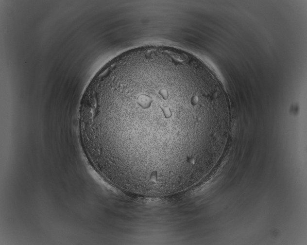 X0000091210903200708231604