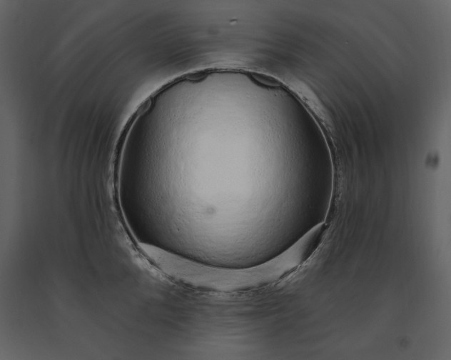 X0000091210904200708231604