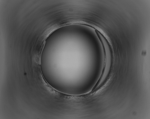 X0000091210905200708231604