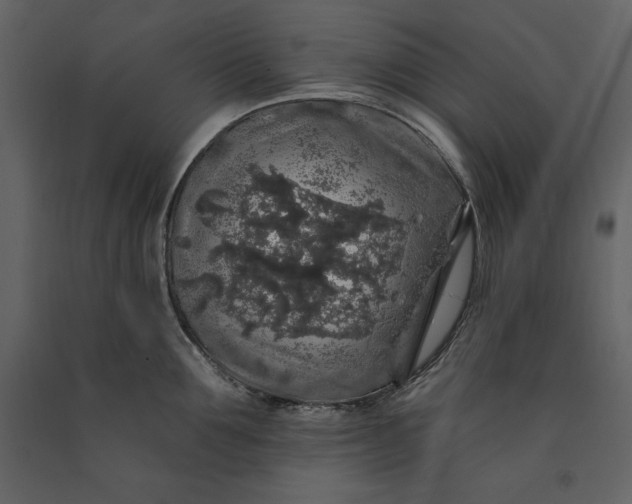 X0000091210907200708231604