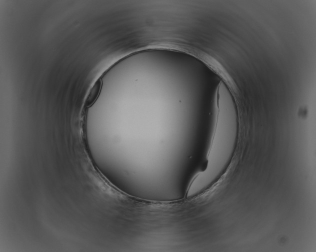X0000091210908200708231604