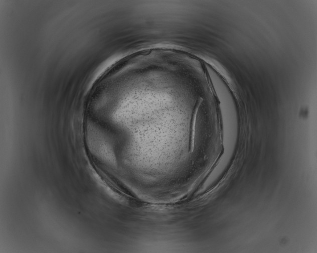 X0000091210910200708231604