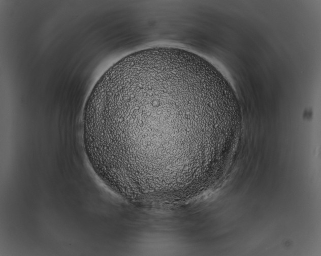 X0000091210911200708231604