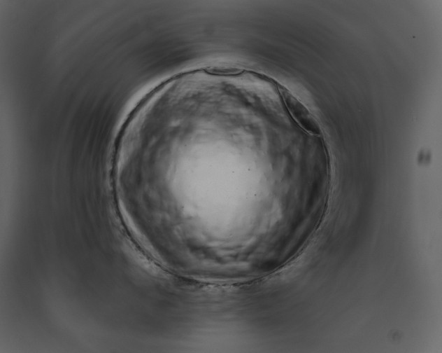 X0000091210912200708231604