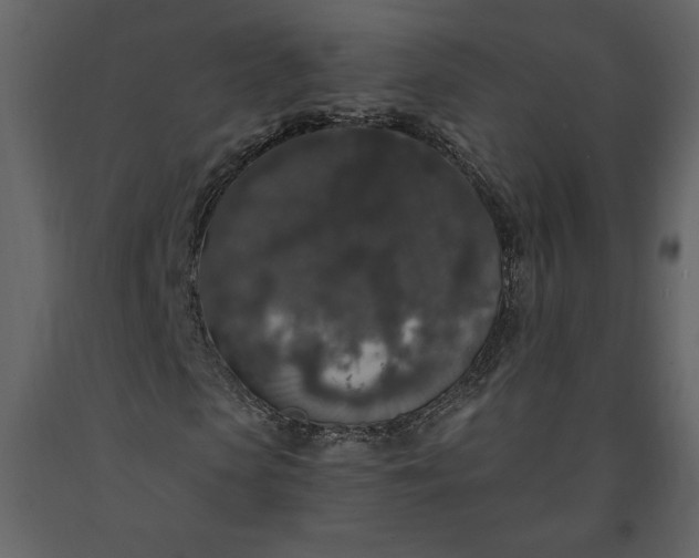 X0000091210913200708231603