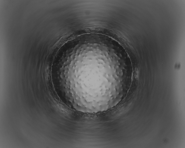 X0000091210915200708231603