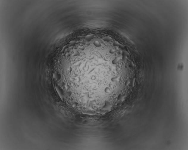 X0000091210917200708231603