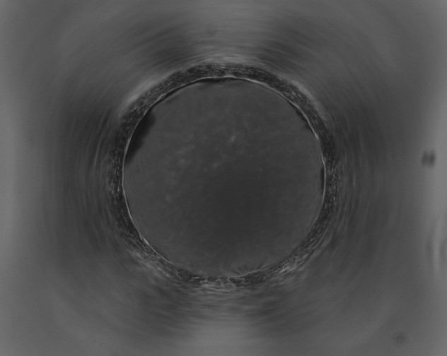 X0000091210919200708231604