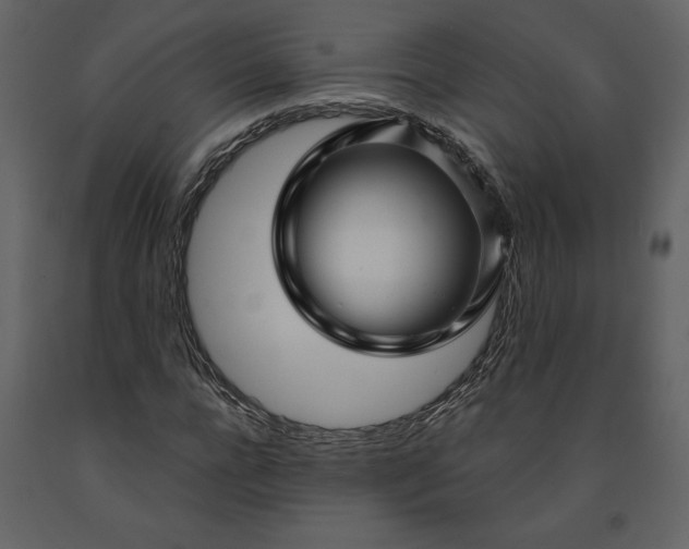 X0000091210920200708231604