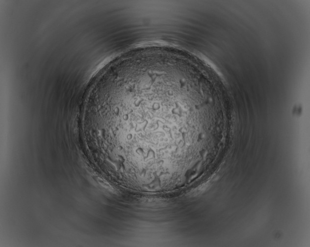 X0000091210921200708231604