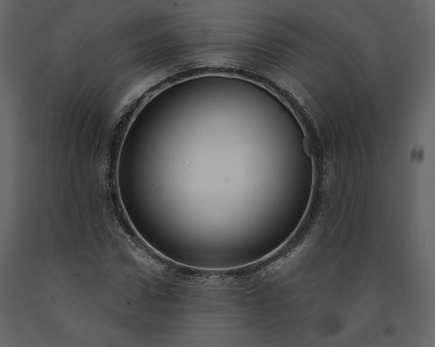 X0000091210922200708231604