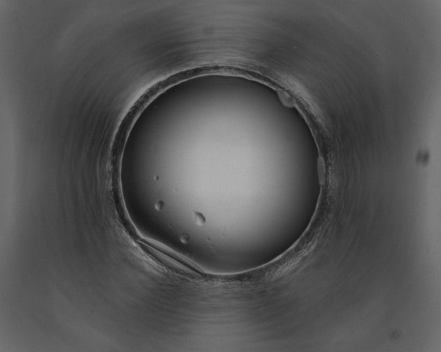 X0000091210924200708231604