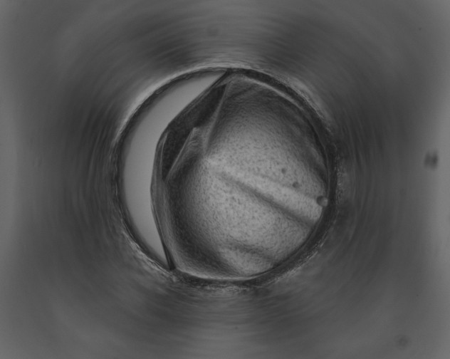 X0000091210926200708231604