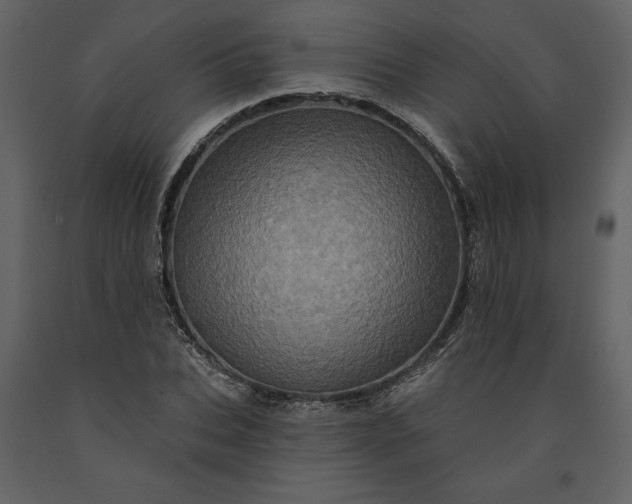 X0000091210927200708231604