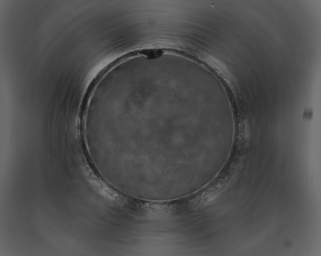 X0000091210928200708231604