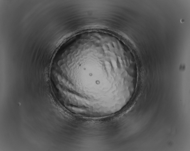X0000091210929200708231604
