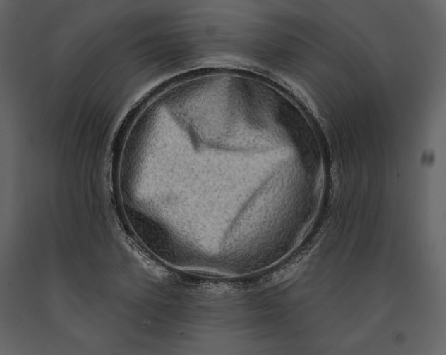 X0000091210931200708231604