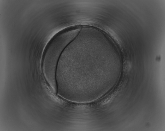 X0000091210932200708231604