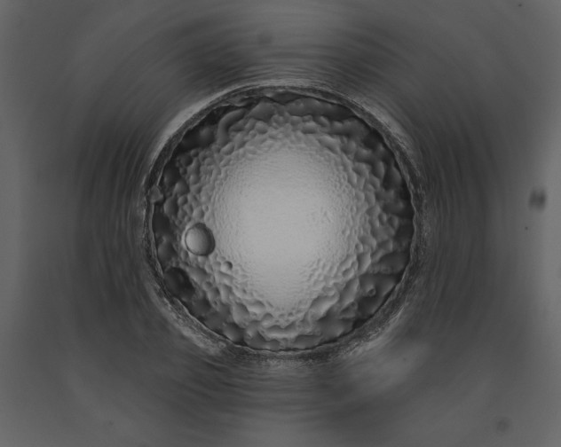X0000091210933200708231604