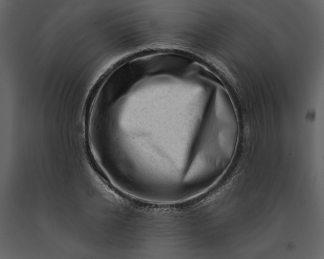 X0000091210934200708231604