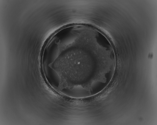 X0000091210935200708231604