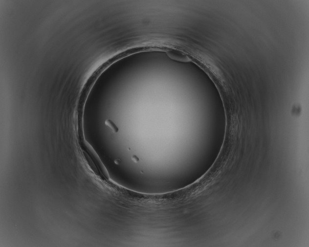 X0000091210936200708231604