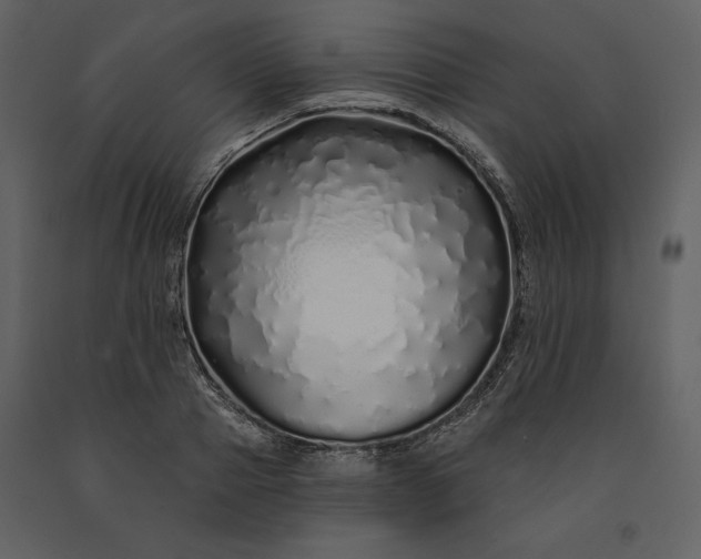 X0000091210937200708231604