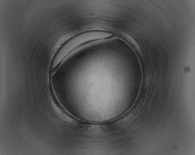 X0000091210938200708231604