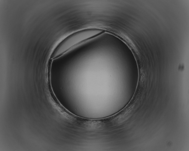 X0000091210939200708231604