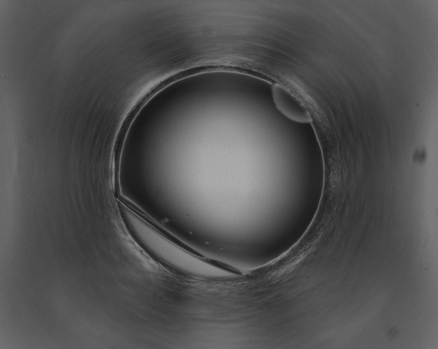 X0000091210940200708231604