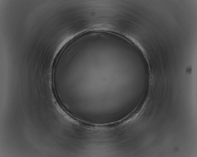 X0000091210941200708231604