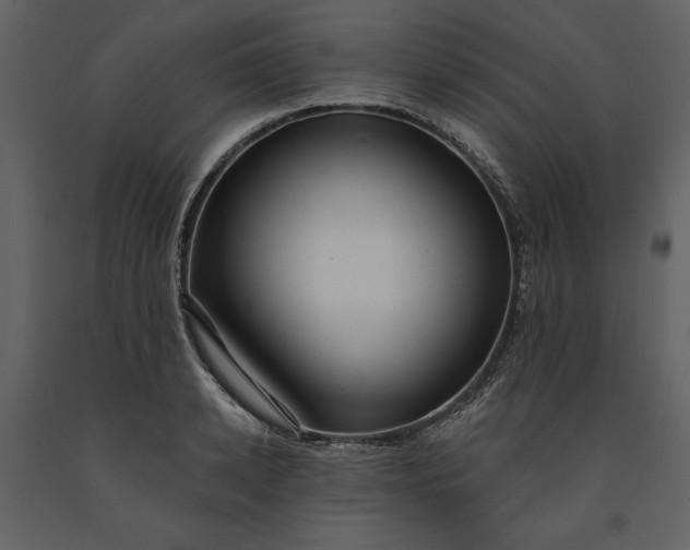 X0000091210942200708231604