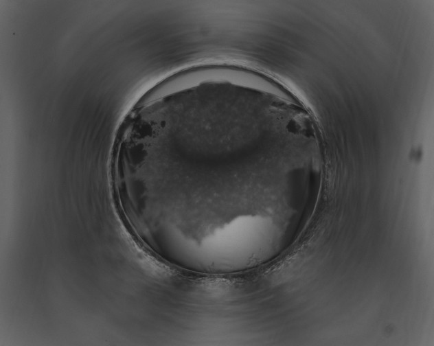 X0000091210943200708231604