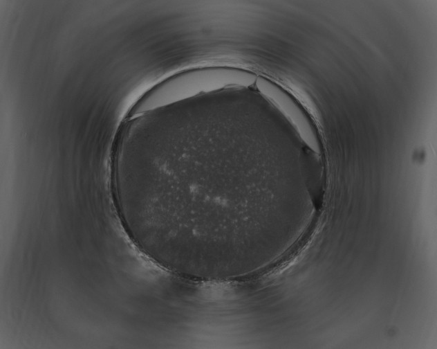 X0000091210944200708231604