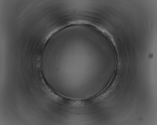 X0000091210945200708231604