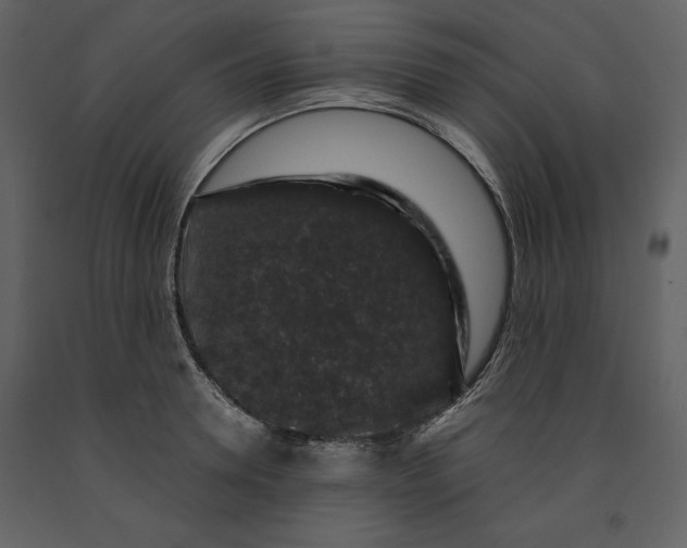 X0000091210946200708231604